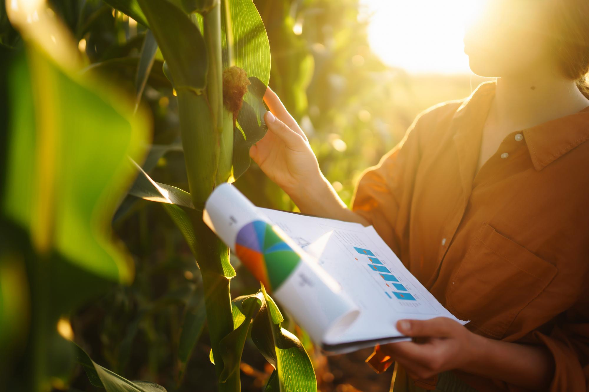 Chiffres clés agroalimentaire